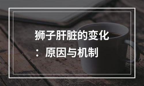 狮子肝脏的变化：原因与机制