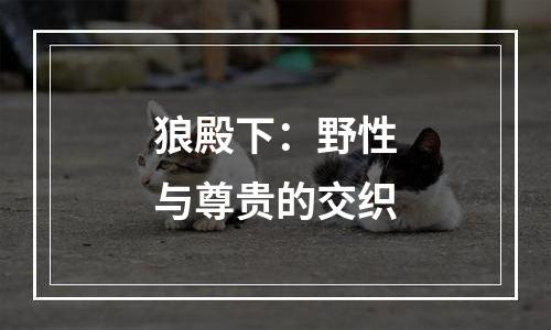 狼殿下：野性与尊贵的交织