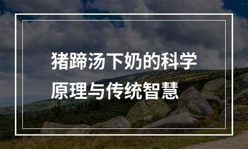 猪蹄汤下奶的科学原理与传统智慧