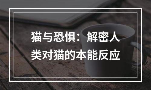 猫与恐惧：解密人类对猫的本能反应