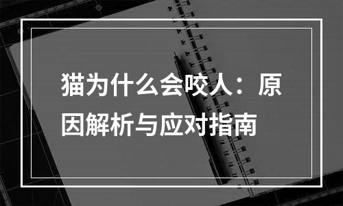 猫为什么会咬人：原因解析与应对指南