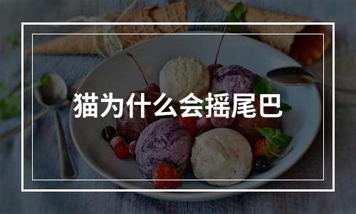 猫为什么会摇尾巴