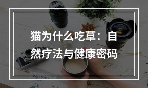 猫为什么吃草：自然疗法与健康密码