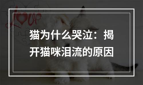 猫为什么哭泣：揭开猫咪泪流的原因