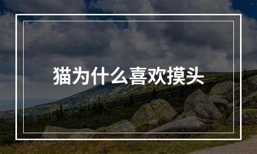 猫为什么喜欢摸头