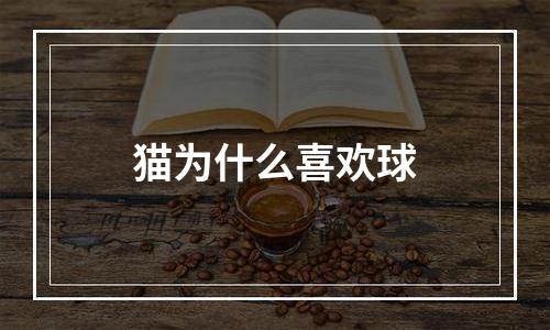 猫为什么喜欢球