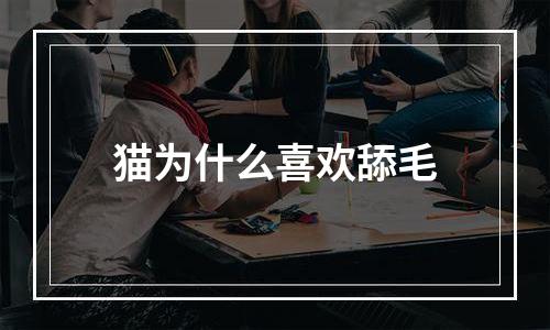 猫为什么喜欢舔毛