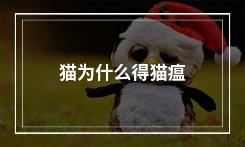 猫为什么得猫瘟