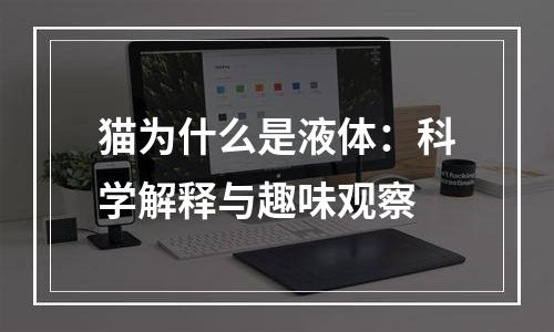 猫为什么是液体：科学解释与趣味观察