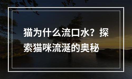 猫为什么流口水？探索猫咪流涎的奥秘