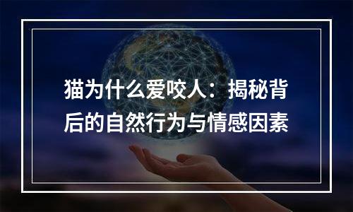 猫为什么爱咬人：揭秘背后的自然行为与情感因素