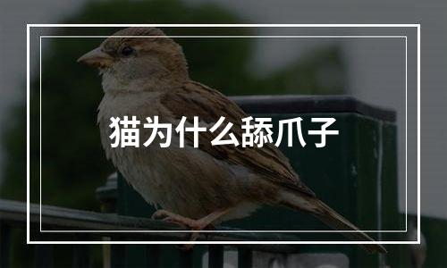 猫为什么舔爪子