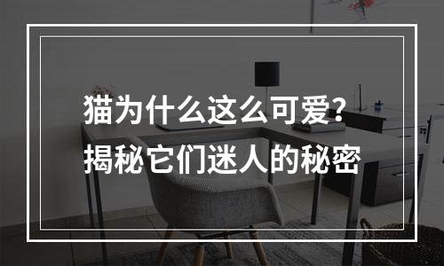 猫为什么这么可爱？揭秘它们迷人的秘密