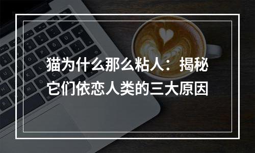猫为什么那么粘人：揭秘它们依恋人类的三大原因