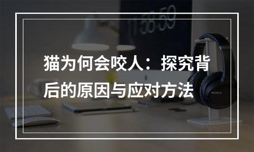 猫为何会咬人：探究背后的原因与应对方法