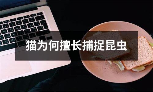 猫为何擅长捕捉昆虫