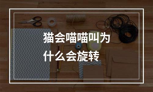 猫会喵喵叫为什么会旋转