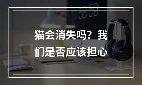 猫会消失吗？我们是否应该担心
