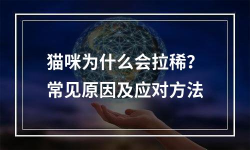猫咪为什么会拉稀？常见原因及应对方法