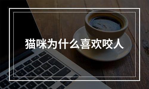 猫咪为什么喜欢咬人