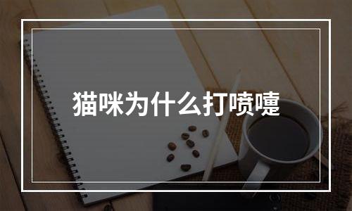 猫咪为什么打喷嚏