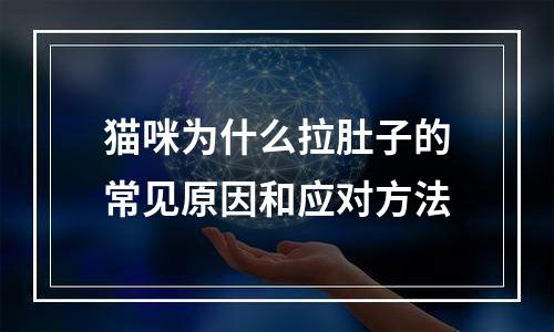猫咪为什么拉肚子的常见原因和应对方法