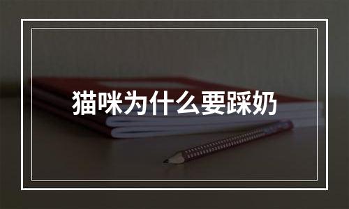 猫咪为什么要踩奶
