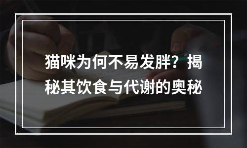 猫咪为何不易发胖？揭秘其饮食与代谢的奥秘