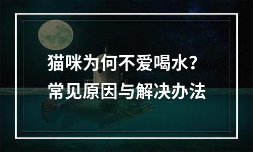猫咪为何不爱喝水？常见原因与解决办法
