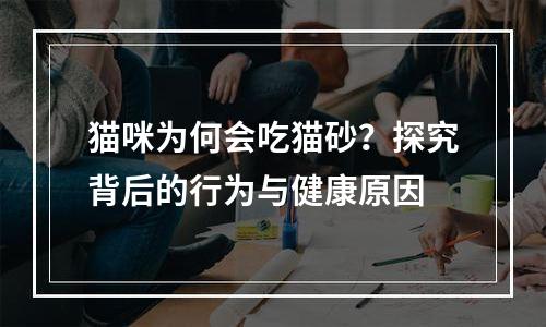猫咪为何会吃猫砂？探究背后的行为与健康原因