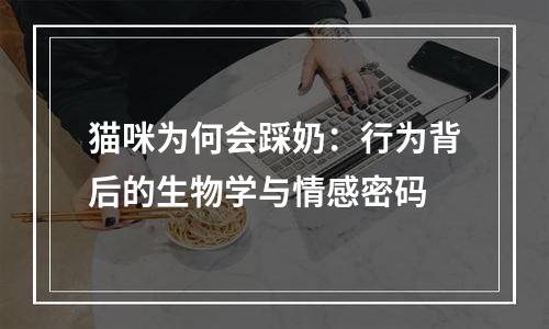 猫咪为何会踩奶：行为背后的生物学与情感密码