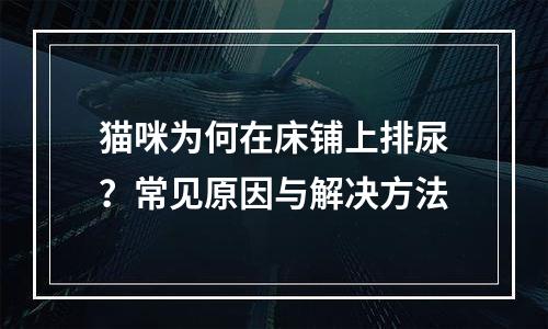 猫咪为何在床铺上排尿？常见原因与解决方法