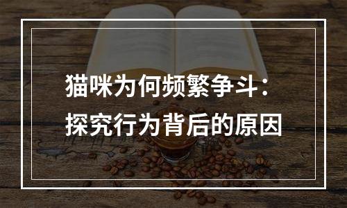 猫咪为何频繁争斗：探究行为背后的原因