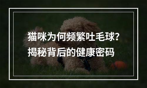 猫咪为何频繁吐毛球？揭秘背后的健康密码