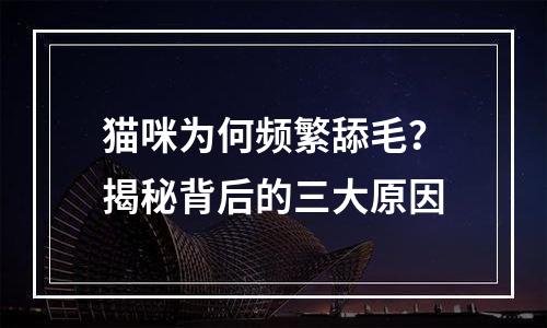 猫咪为何频繁舔毛？揭秘背后的三大原因