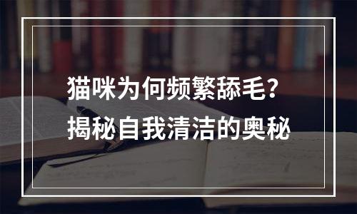 猫咪为何频繁舔毛？揭秘自我清洁的奥秘