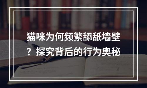 猫咪为何频繁舔舐墙壁？探究背后的行为奥秘