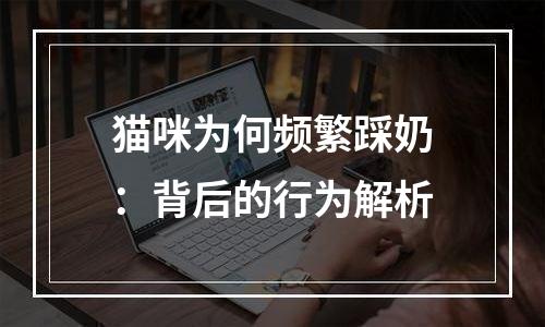 猫咪为何频繁踩奶：背后的行为解析