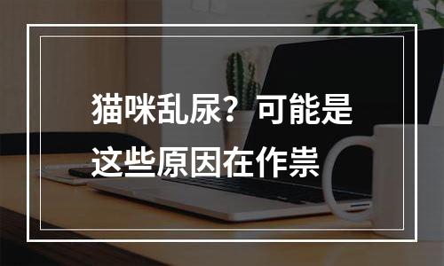 猫咪乱尿？可能是这些原因在作祟