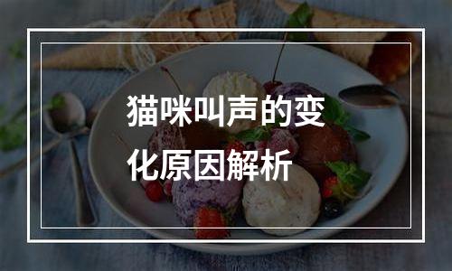 猫咪叫声的变化原因解析