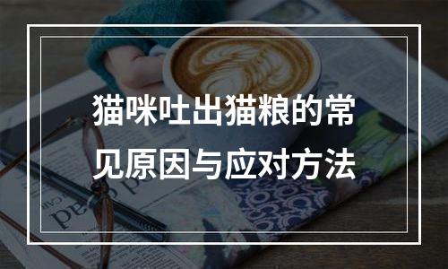 猫咪吐出猫粮的常见原因与应对方法