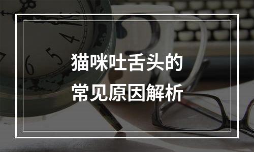 猫咪吐舌头的常见原因解析