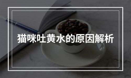 猫咪吐黄水的原因解析