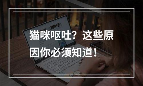 猫咪呕吐？这些原因你必须知道！