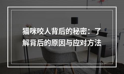 猫咪咬人背后的秘密：了解背后的原因与应对方法