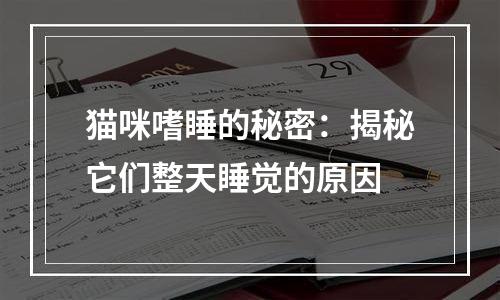 猫咪嗜睡的秘密：揭秘它们整天睡觉的原因