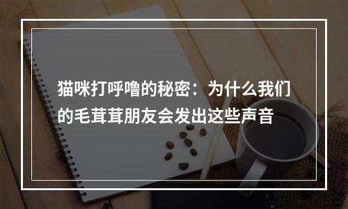 猫咪打呼噜的秘密：为什么我们的毛茸茸朋友会发出这些声音