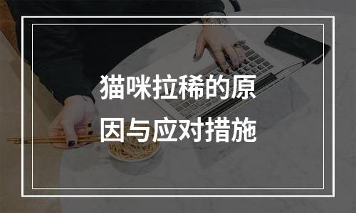 猫咪拉稀的原因与应对措施