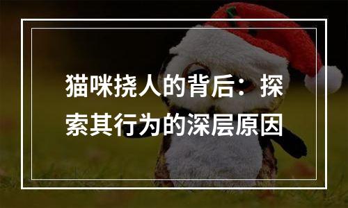 猫咪挠人的背后：探索其行为的深层原因