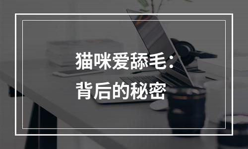 猫咪爱舔毛：背后的秘密